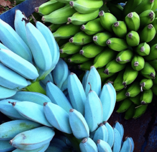 banana blu
