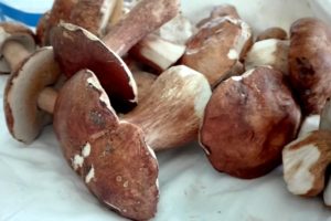 risotto ai funghi porcini 