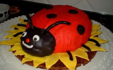 coccinella