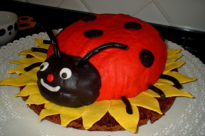 coccinella