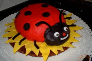 coccinella