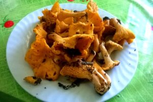 funghi trifolati