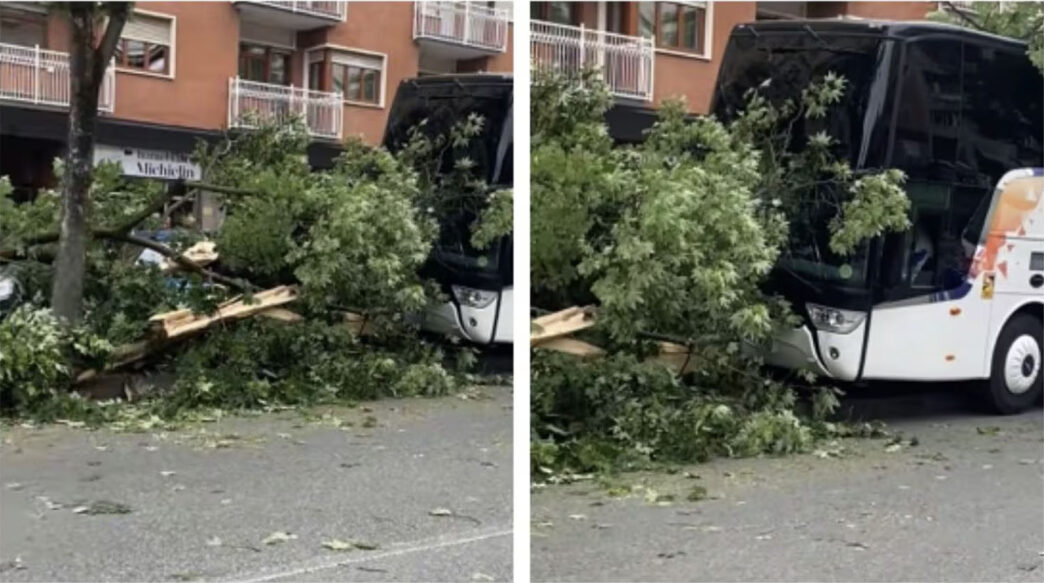 incidente in gita scolastica