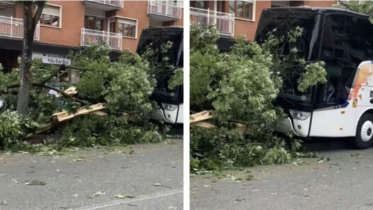 incidente in gita scolastica