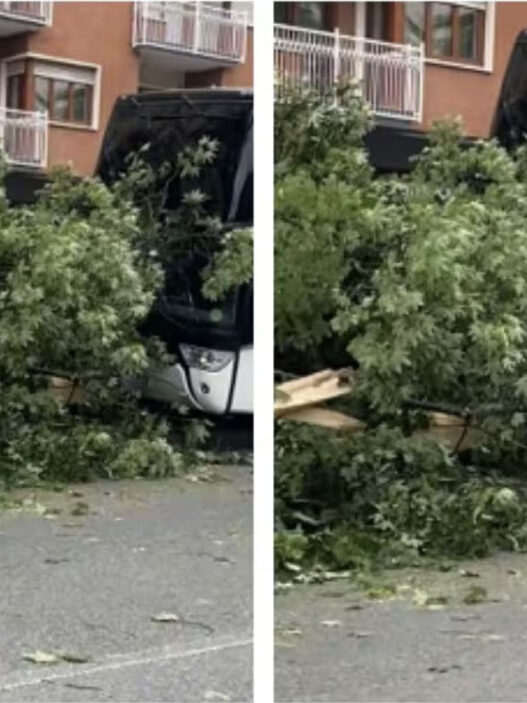 incidente in gita scolastica