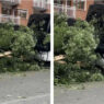 incidente in gita scolastica