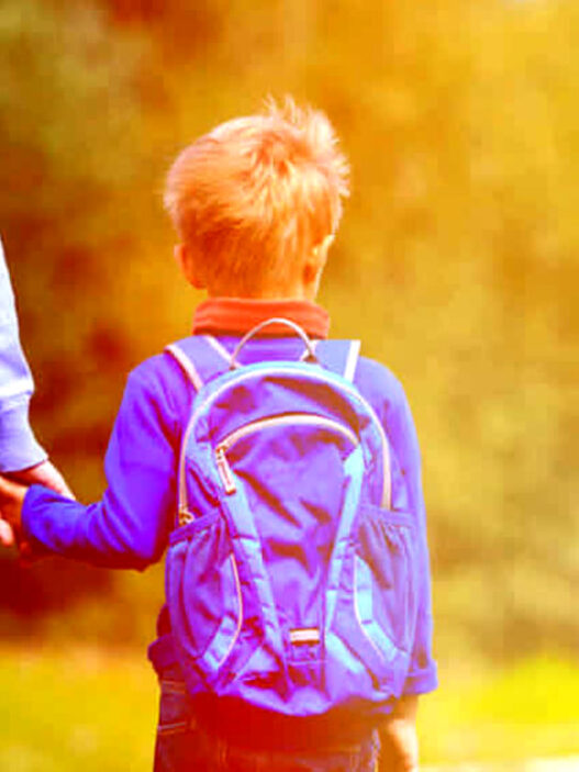 Cesena, Bambino cacciato dal campo estivo perchè figlio di 2 insegnati. Discriminato solo per il nostro lavoro