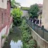 Garlasco, parla l'uomo che ha ritrovato gli oggetti gettati nel canale di Tromello- erano chiusi in