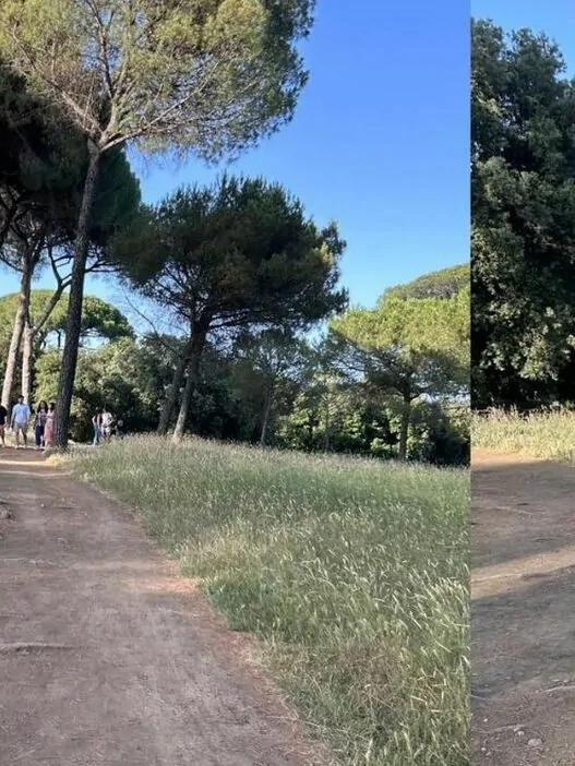 neonata morta