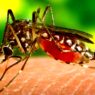 West Nile