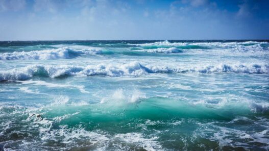 muore in mare