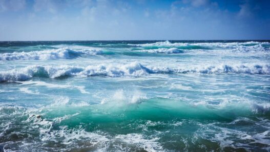 muore in mare