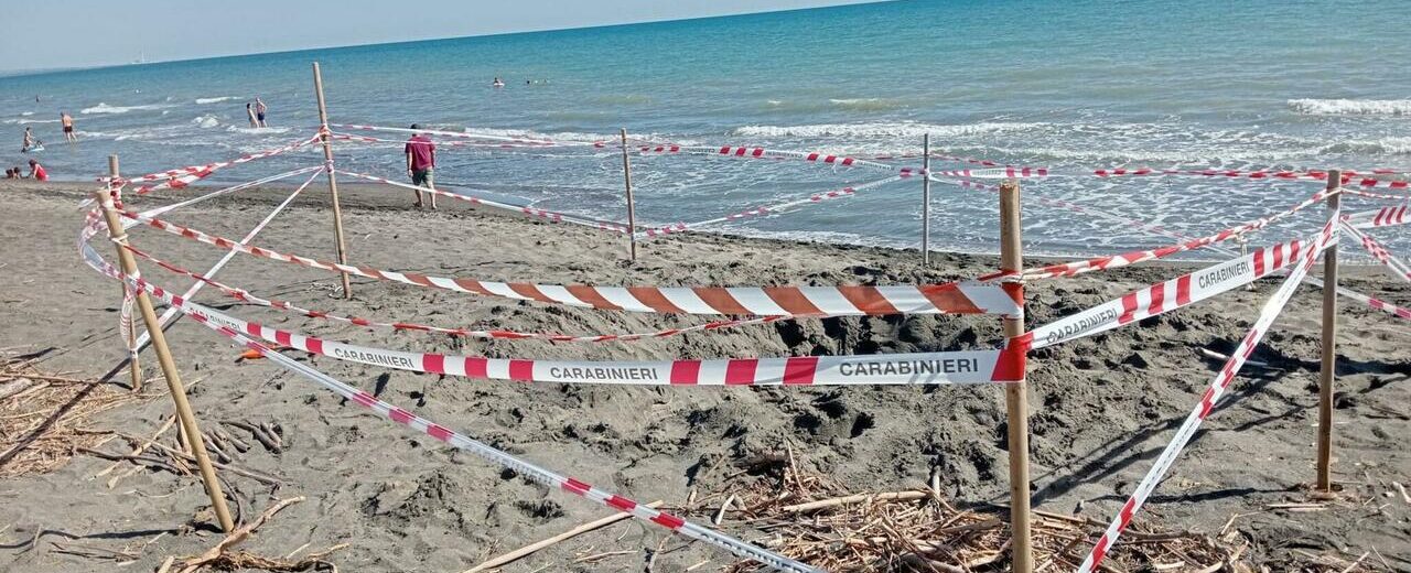 Riccardo morto sepolto vivo a 17 anni, il fratellino ha visto tutto ma non gli hanno creduto. Com'è stato trovato