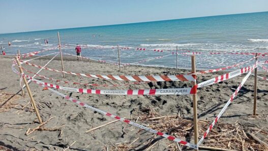 Riccardo morto sepolto vivo a 17 anni, il fratellino ha visto tutto ma non gli hanno creduto. Com'è stato trovato