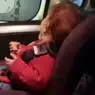 bimbo di due anni cade dall’auto in corsa