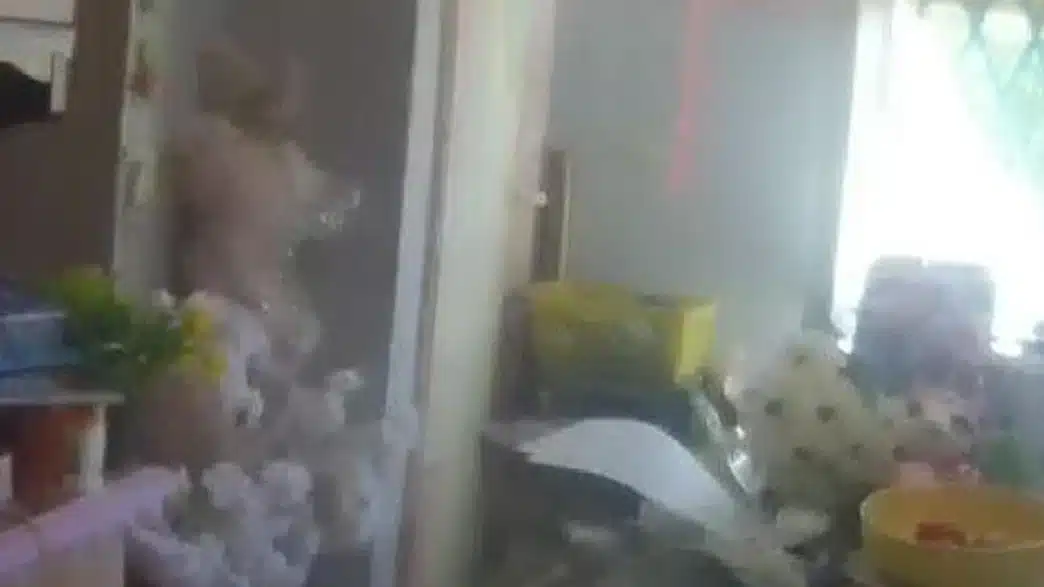 latina, bimbi vivevano insieme ai cani