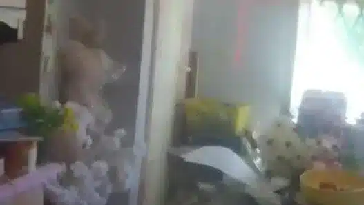 latina, bimbi vivevano insieme ai cani