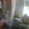 latina, bimbi vivevano insieme ai cani