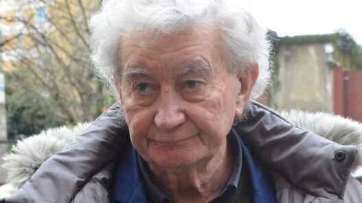 avvocato Lovati