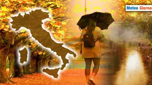 meteo