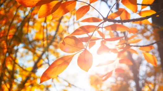 meteo torna il caldo