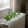 Foglie di alloro verde appoggiate su un termosifone bianco