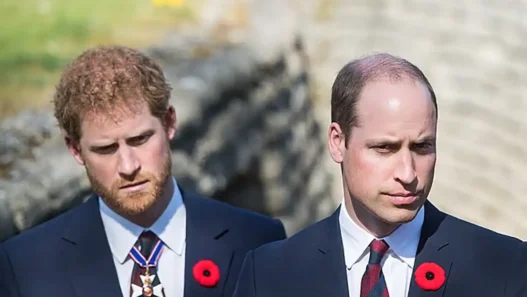 Principe William e Harry tensione Royal Family Charlotte Louis