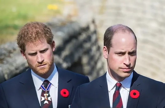 Principe William e Harry tensione Royal Family Charlotte Louis