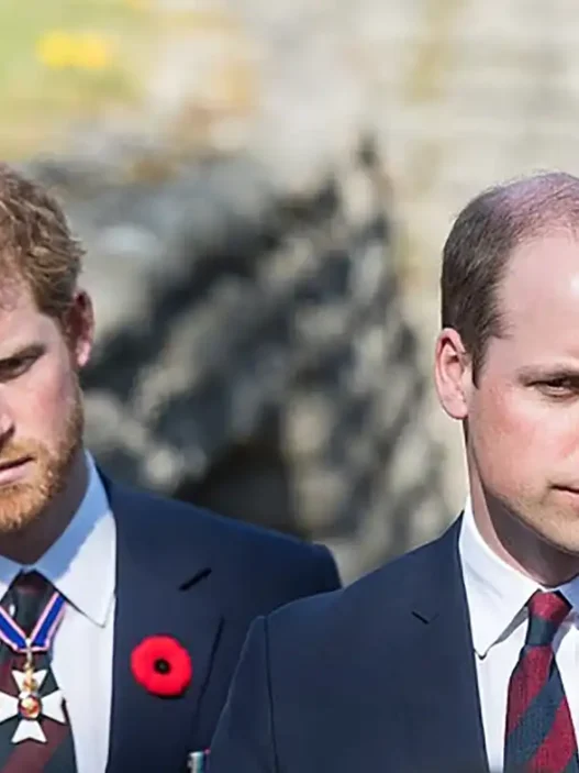 Principe William e Harry tensione Royal Family Charlotte Louis