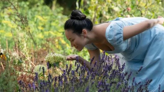 Sophie di Bridgerton in un campo di viole