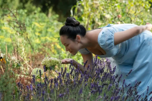 Sophie di Bridgerton in un campo di viole