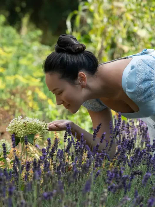 Sophie di Bridgerton in un campo di viole