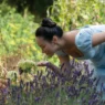 Sophie di Bridgerton in un campo di viole