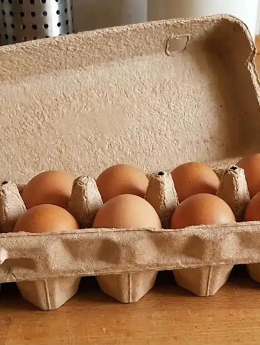 Una confezione da 12 uova su piano di una cucina