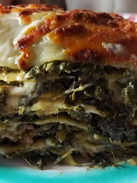 Un piatto colorato sul quale è adagiata una fetta di lasagna salsiccia e friarielli
