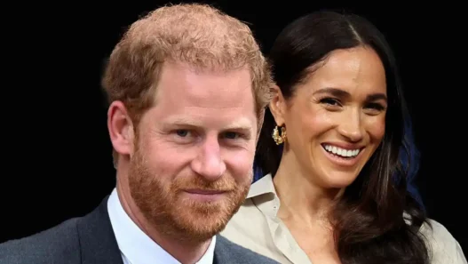 L'ipotesi di Harry plagiato da Meghan